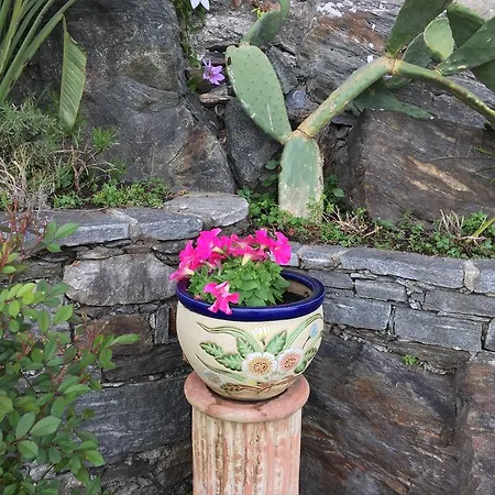 Casa San Martino Lägenhet Ronco sopra Ascona